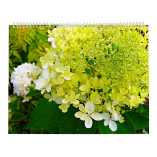 Calendrier 2025 My Rubio Garden Elegant Hydrangeas