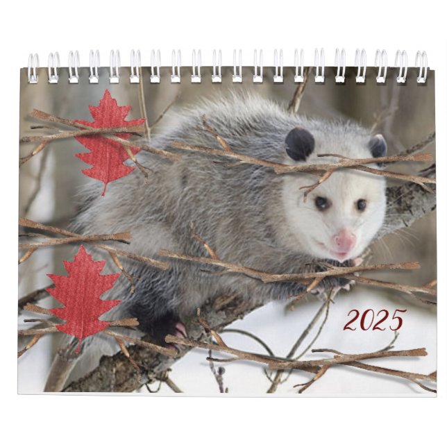 Calendrier 2025 Opossum Nature Faune (Dos)