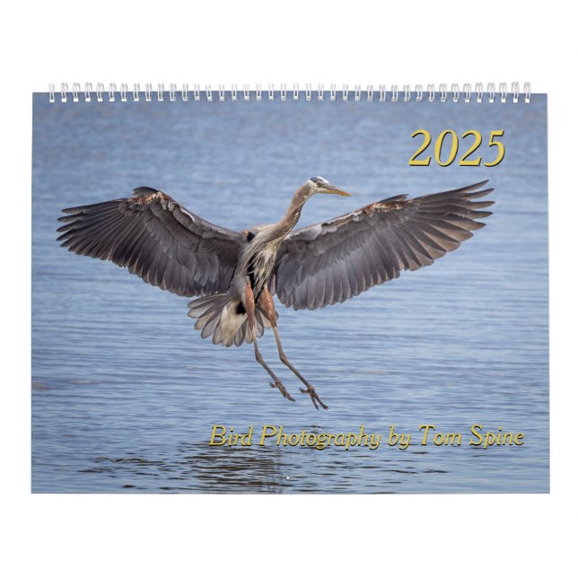 Calendrier 2025 - Photographies d'oiseaux par Tom  (Protection)