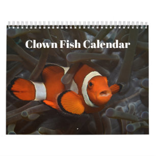 Calendrier 2025 pour le poisson clown