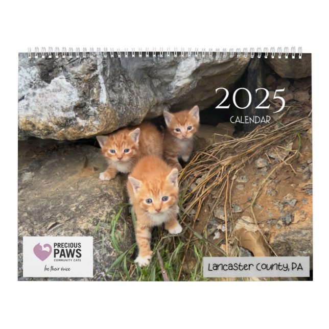 Calendrier 2025 Precious Paws (Protection)
