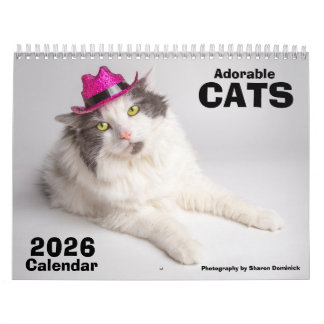 Calendrier 2026 Adorable Cats Calendar Photograpghy