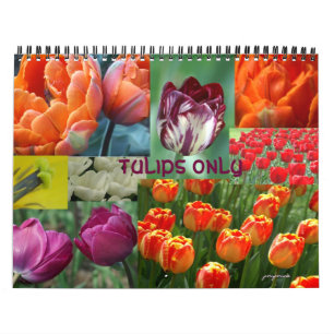 Calendrier 2026 année de la tulipe