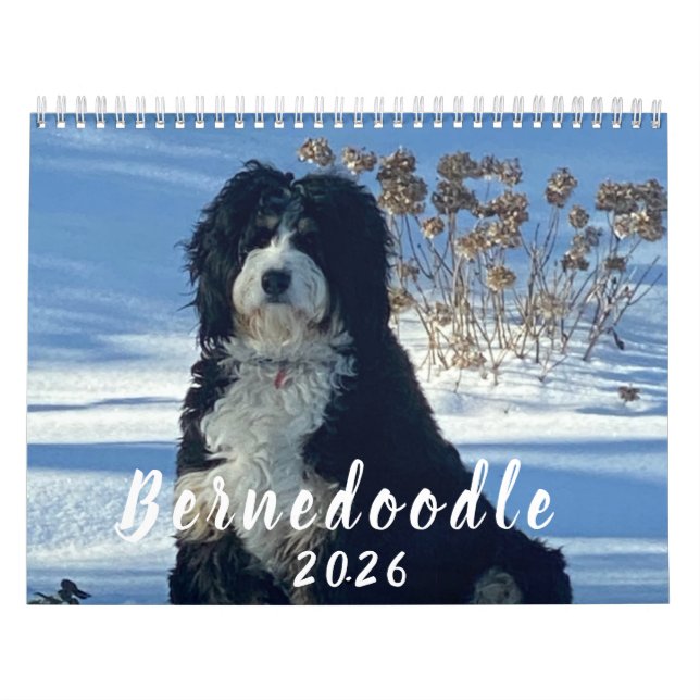Calendrier 2026 Bernedoodle photo Calendar (Protection)