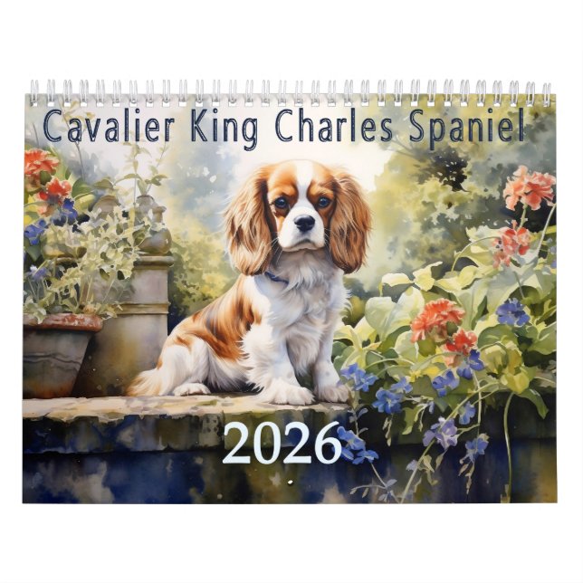 Calendrier 2026 Cavalier Roi Charles Espagnol (Protection)