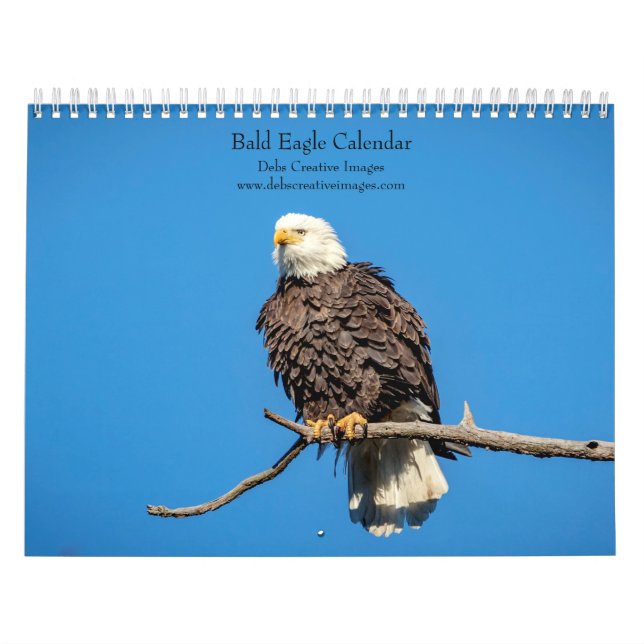 Calendrier 2026 de Bald Eagle (Protection)