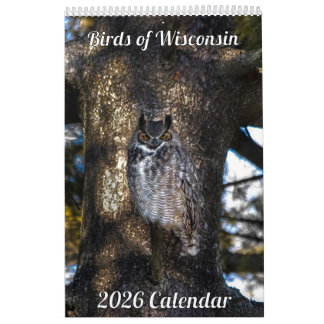 Calendrier 2026 des oiseaux du Wisconsin