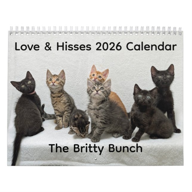 Calendrier 2026 Love & Hisses Calendar - the Britty Bunch (Protection)