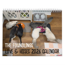 2026 Love & Hisses Calendar - the Foundlings