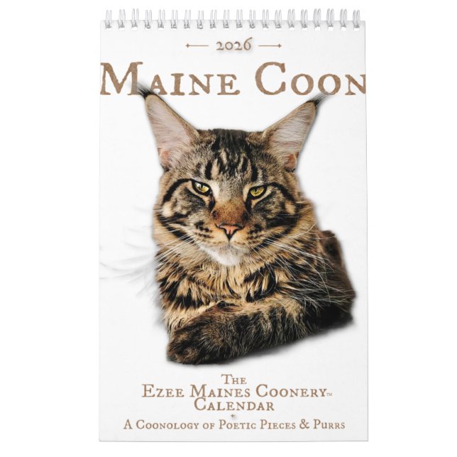 Calendrier 2026 Maine Coon Cat Calendar (Protection)