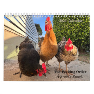 Calendrier 2026 Neighborhood Chicken Calendar