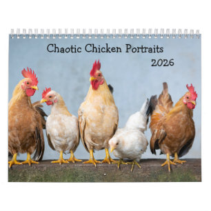 Calendrier 2026 - Portraits chaotiques de poulet