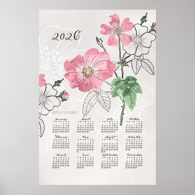 Calendrier 2026 Poster Rose Botanique (Devant)