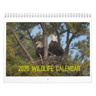Calendrier 2026 Wildlife Calendar by Kevin Harris