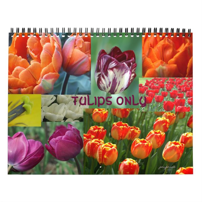 Calendrier 2026 year of the tulip (Protection)