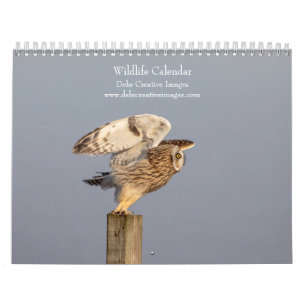 Calendrier 2027 Aventures Fauniques Photographie de la Natu