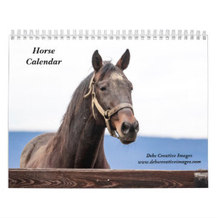Calendrier 2027 Chevaux de New York Photographie Équestre
