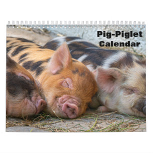 Calendrier 2027 Cochon-Porcelet