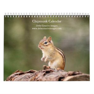 Calendrier 2027 des Tamias des Adirondacks, Photo 