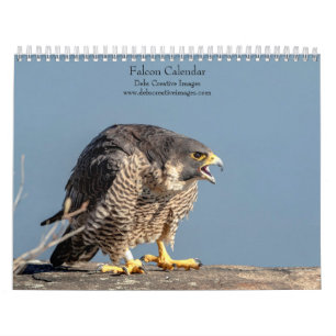 Calendrier 2027 Faucons   Maîtres de la Vitesse & du Vol