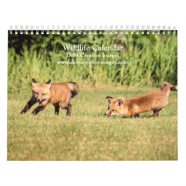 Calendrier 2027 Faune du Nord-Est, Photographie de la Nature (Protection)