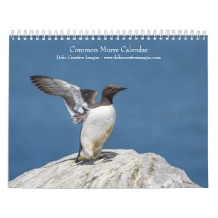 Calendrier 2027 Guillemots de Troïl   Oiseaux marins de l'Atl