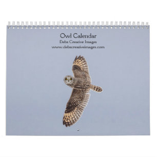 Calendrier 2027 Hiboux Mystérieux Faune Nocturne