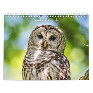 Calendrier 2027 Hiboux rayés   Mystères de la Forêt