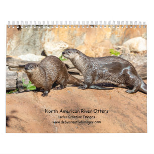 Calendrier 2027 Loutres d'Amérique du Nord Faune