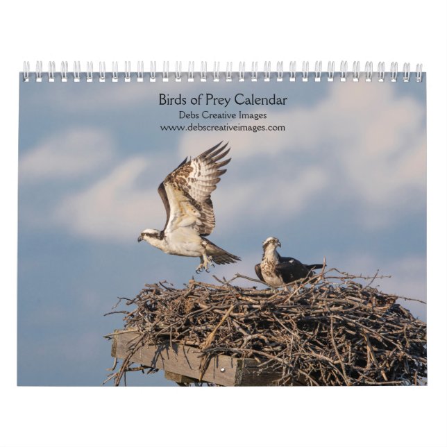 Calendrier 2027 Majestic Raptors | Oiseaux de Proie (Protection)