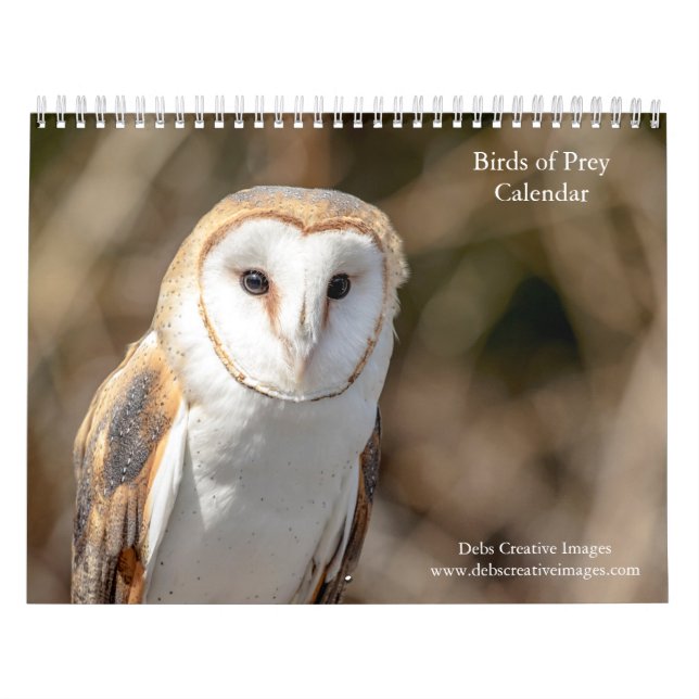 Calendrier 2027 Oiseaux de Proie | Raptors Nord-Américains (Protection)