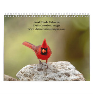 Calendrier 2027 Petits Oiseaux Photographie d'oiseaux de ja