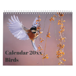 Calendrier 20xx - Oiseaux