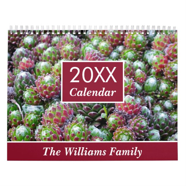 Calendrier 20XX Succulents Amateurs Jardin Personnalisé mensu (Protection)