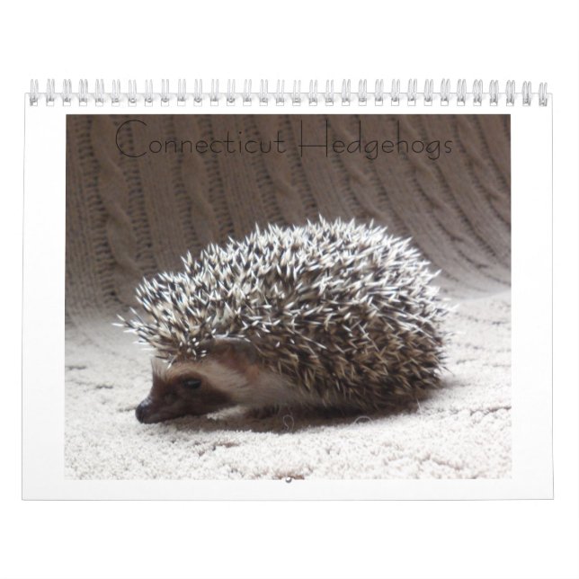 Calendrier 3 de bébé de hérisson (Protection)