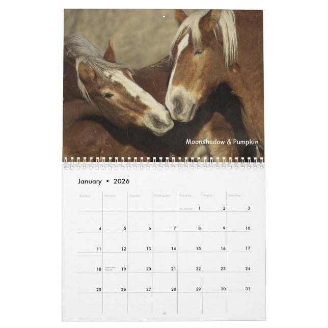 Calendrier #3 de chevaux de trait (Jan 2026)