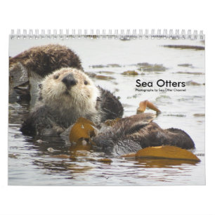 Calendrier #3 de la Manche de loutre de mer