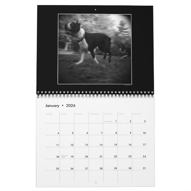 Calendrier 3 de parc de chien (Jan 2026)