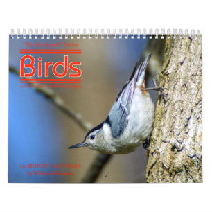 Calendrier 3ème d'oiseaux de jardin en série