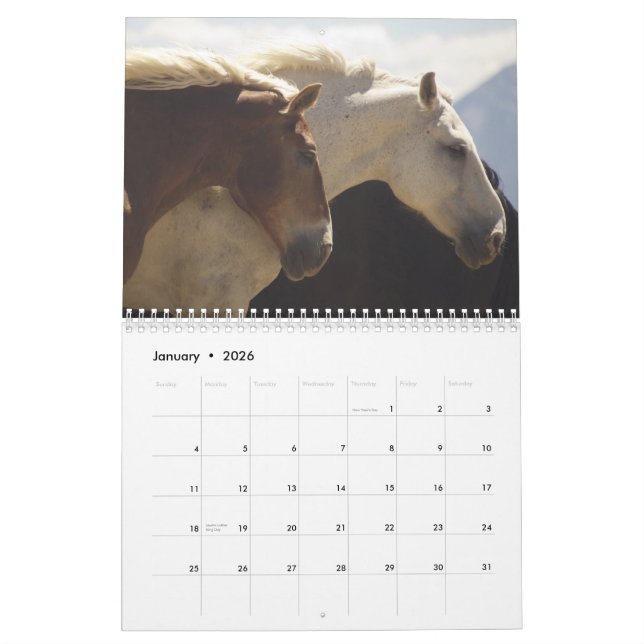 Calendrier #4 de chevaux de trait (Jan 2026)