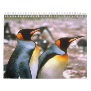 Calendrier 6 d'oiseau