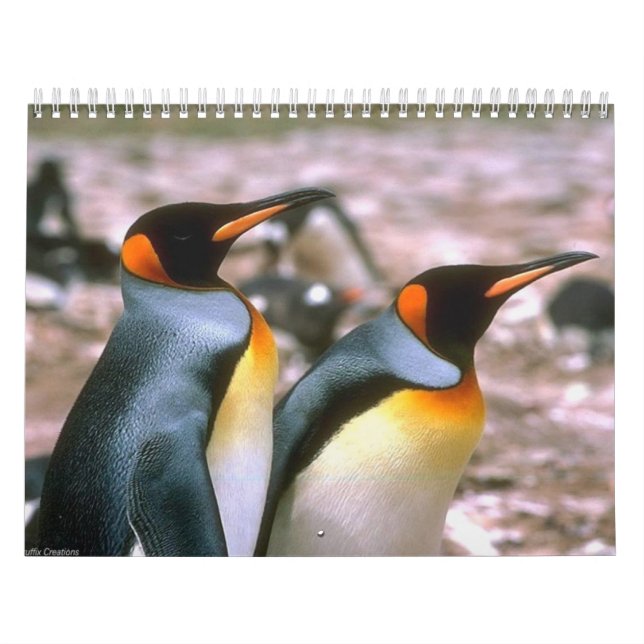 Calendrier 6 d'oiseau (Protection)