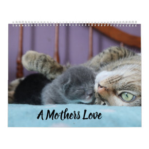 CALENDRIER A MOTHERS LOVE MAMACAT & HER KITTENS