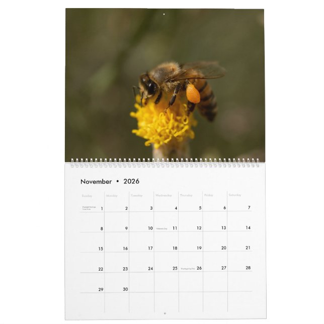 Calendrier abeille (Nov 2026)