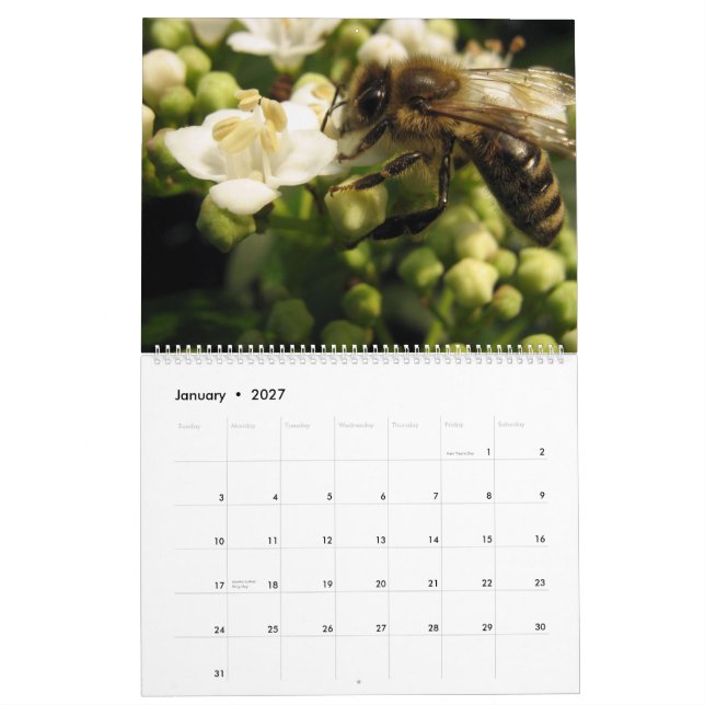 Calendrier Abeilles (Jan 2027)