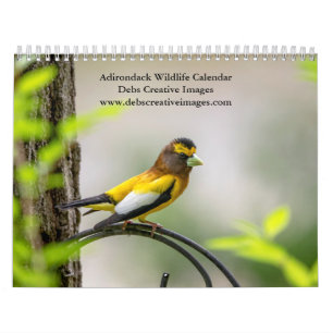 Calendrier Adirondack Wildlife 2026