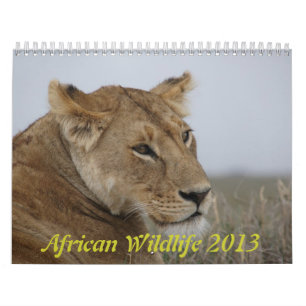 Calendrier africain 2013 de faune