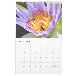 Calendrier africain de la faune 2025