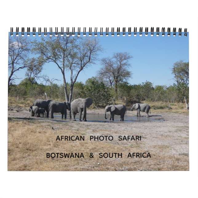 CALENDRIER AFRICAN PHOTO SAFARI - BOTSWANA & SOUTH AFRICA  (Protection)