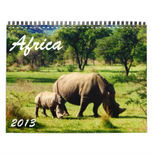 calendrier afrique 2013